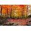 Beautiful Fall Foliage In The Northeast Usa Stock Photo  Download