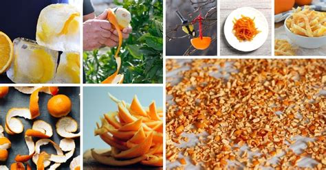 39 Exciting Things To Do With Orange Peels • Tasteandcraze