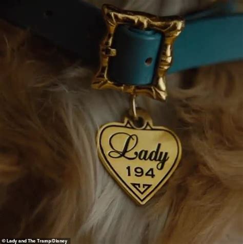 Lady Collar Disney Dog Collar Tags Dog Collar Charms Lady And The Tramp