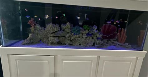 180 Gallon Fish Tank With Stand And Lid For 500 In Pembroke Pines Fl