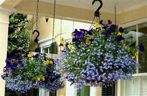 Hanging basket chain flexible garden pot plastic home planter decoration flower. Best And Beautiful Small Garden Ideas For Home