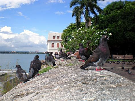 Parque De Las Palomas Viejo San Juan Joito Flickr