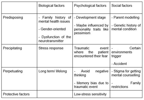 What Are The Four Ps Of The Biopsychosocial Model