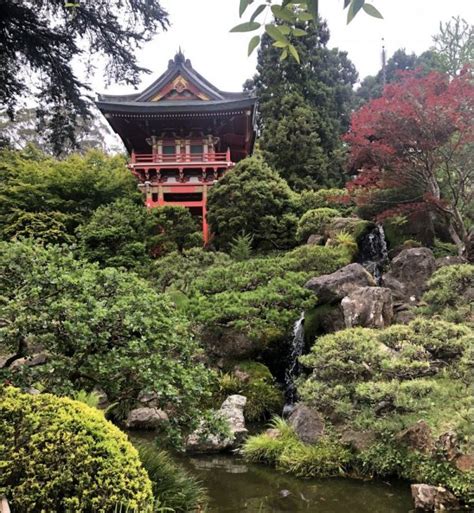 Japanese Tea Garden Combines History And Beauty Side Of Culture