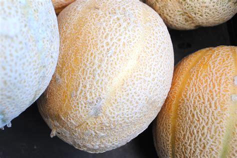 Melons 101: How To Pick Ripe Melons and 12 Varieties You Need to Try ...