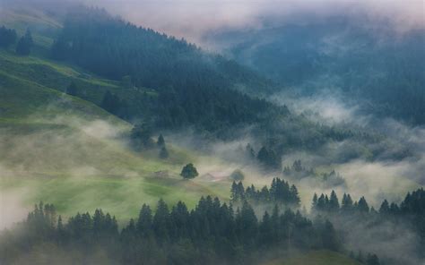Nature Landscape Morning Mist Mountain Forest Cabin Wallpaper