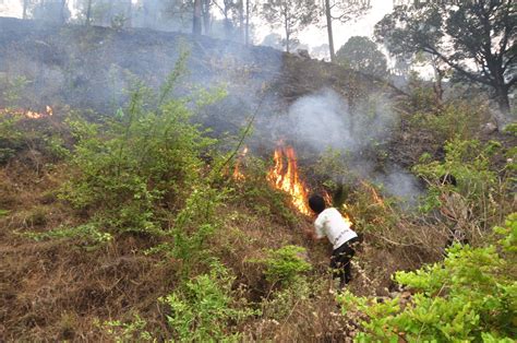 Why Uttarakhand Saw Few Wildfires This Year Despite Months