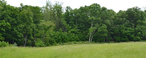 Cheap Land For Sale In Northern Wisconsin