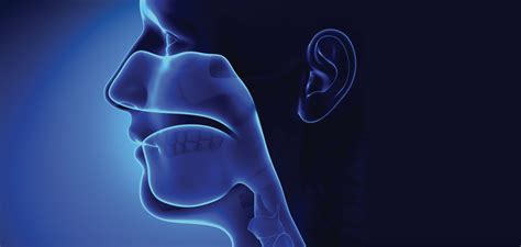 Otolaryngology Ear Nose Throat Doctors Oaklawn Hospital