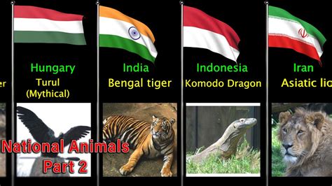 National Animals Of All Countries Part 2 Youtube