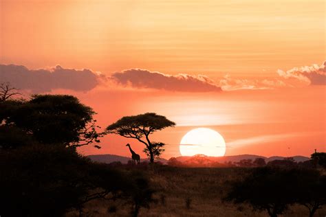 African Landscape Photography