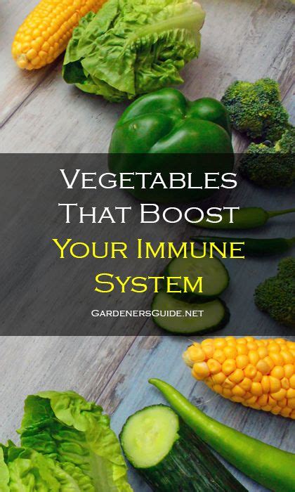 Vegetables That Boost Your Immune System Vegetables Immune System Herbs