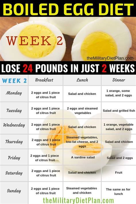 2 Week Boiled Egg Diet Pdf Dietvd