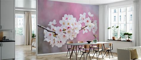Beautiful Cherry Blossoms Popular Wall Mural Photowall