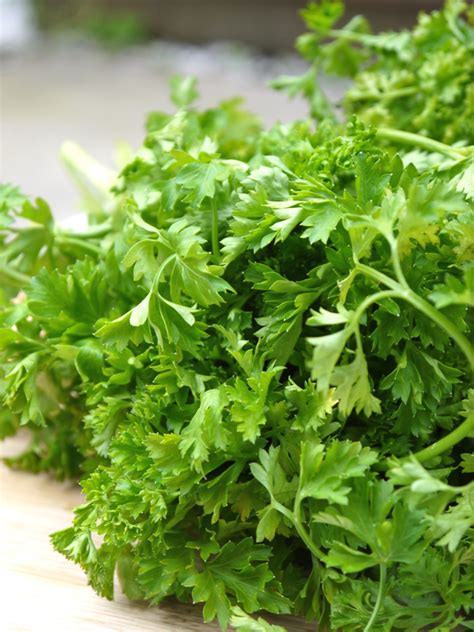 Why Parsley Is a Juicing Superfood | Pumps & Iron