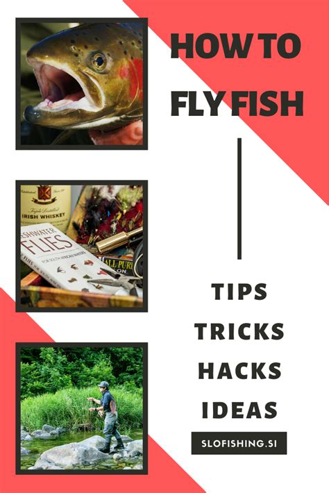 How To Fly Fish Learn The Basics Of Fly Fishing In 10 Minutes Tips