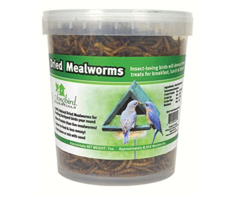 Dried Mealworms 28oz — The Wood Thrush Shop