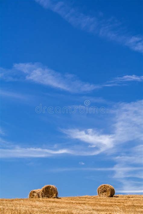 farmland on countryside during harvest with hay or wheat straw bales stock image image of