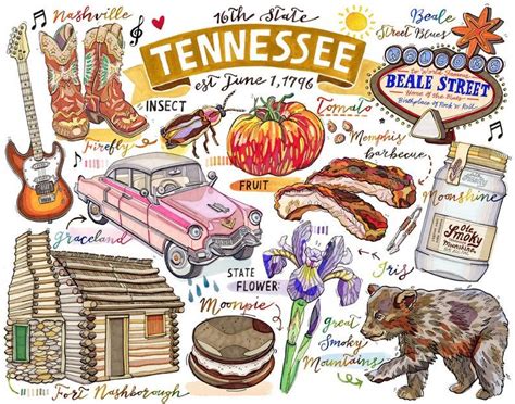 Tennessee Print Illustration State Symbols Nashville Smoky