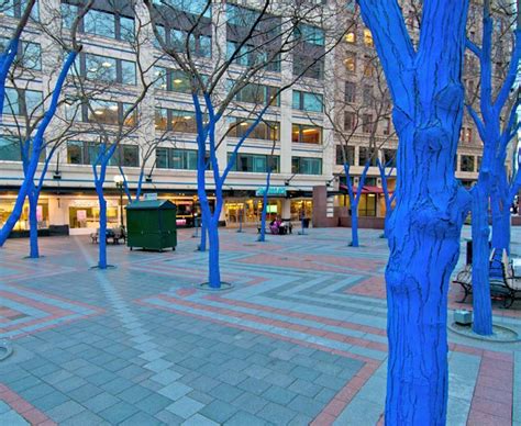 Blue Trees Art Installation Coming To Sacramento Sactown Magazine