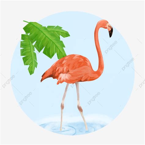 Mewarnai gambar sambil belajar adalah salah satu kegiatan yang paling menyenangkan bagi untuk mengunduh file gambar atau men download mewarnai sketsa ultraman hitam putih di atas. Gambar Burung Flamingo Kartun - Kartun Kocak