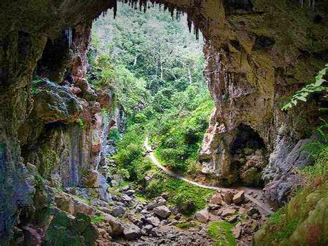 Jenolan Caves Blue Mountains Day Adventure River Cruise Wildscape