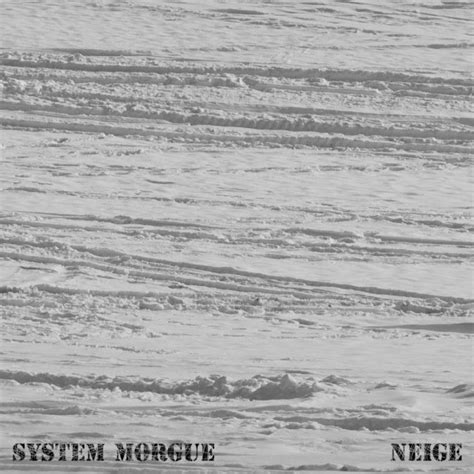 System Morgue Neige 2011 File Discogs
