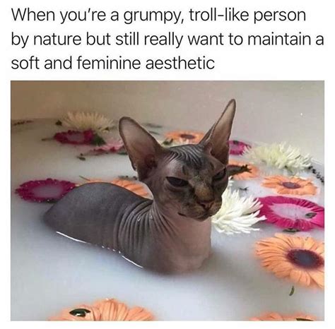 We did not find results for: ...want to maintain a soft and feminine aesthetic. | Cat ...