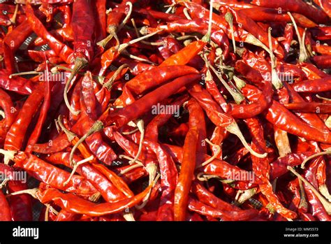 Very Hot And Spicy Chilli Stock Photo Alamy