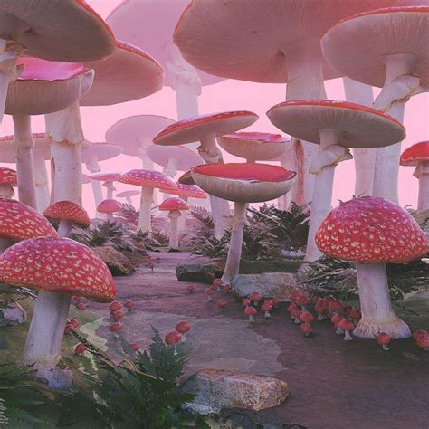 Mushroom Forest Framed Art Print By Nekema Stuffed Mushrooms