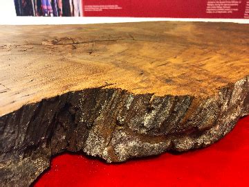 Utar kampar hospital progress (october 2020) 2020 2019. UTAR Division of Corporate Communication and Public ...