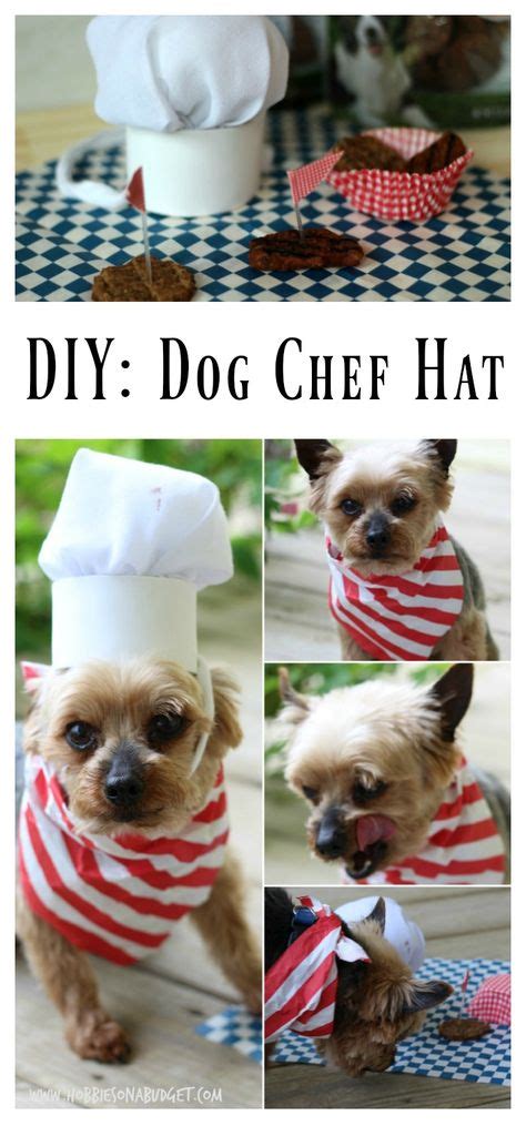 Diy Dog Hat No Sew 64 Ideas