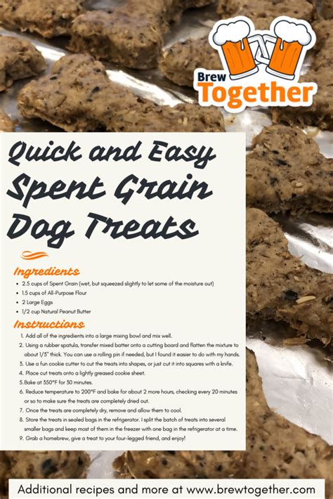 The Best Quick And Easy Spent Grain Dog Treats Recipe Brewtogether
