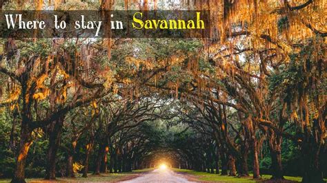 Keep reading to discover the best restaurants in savannah that must be on your list! Best places to stay in Savannah 2020 [TOP AREAS for beach ...