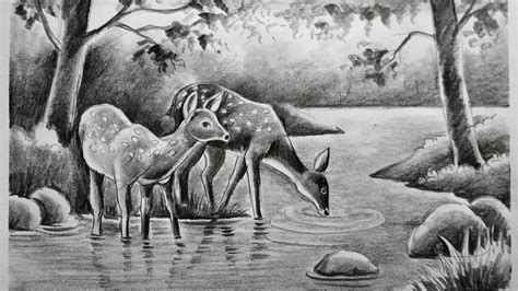 How To Draw Deer With Pencil Sketch Sceneryhow To Draw Forest Scenery