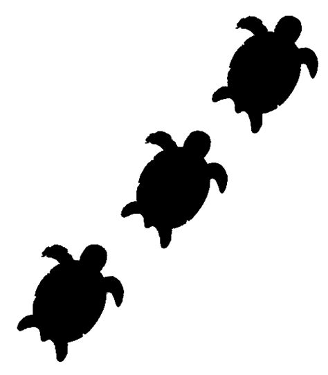 Sea Turtle Clip Art Black And White M Tortoise Png