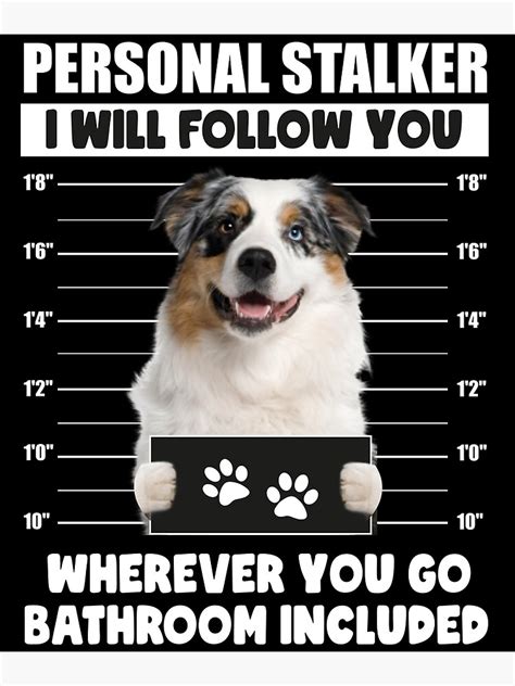 Funny Australian Shepherd Puppy Sayings Personal Stalker Dog