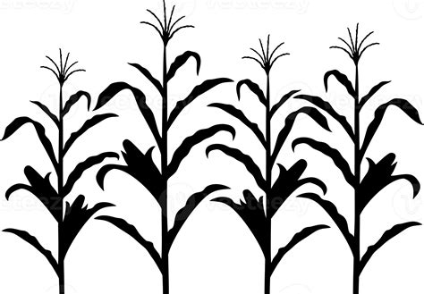 Free Corn Stalk Black And White Png Design 8509657 Png With Transparent