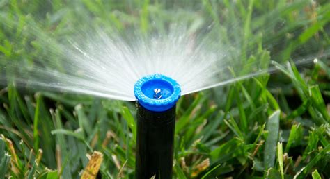 These cups can vary from empty cans of tuna to rain gauges. How to Properly Water Your Lawn | Toro Yard Care BlogToro Yard Care Blog
