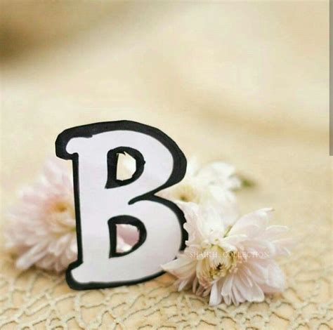 Coogam alphabet magnet zahlen und buchstaben groß foam abc kühlschrank pädagogisches spielzeug set für kinder klassenzimmer rechtschreibung vorschulisches . B Alphabet Letter Dp Pics Wallpaper for Whatsapp n Facebook | Wallpaper DP