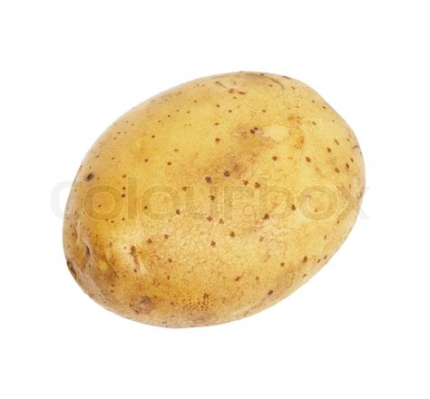 One Potato Isolated Object On White Stock Image
