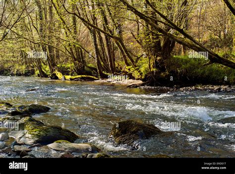 Fast Flowing River Uk High Resolution Stock Photography And Images Alamy