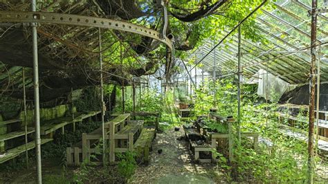 Abandoned Garden Center With Massive Greenhouses Youtube