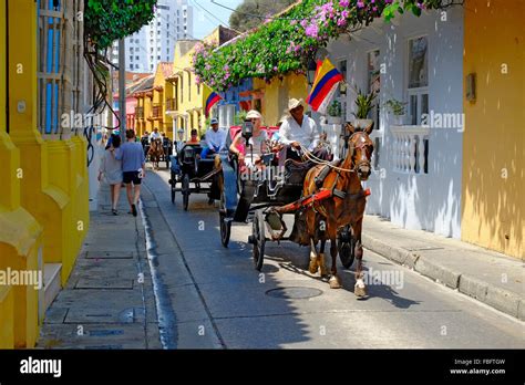 Carriage Ride Old Cartegena Colombia South America Walled City Stock