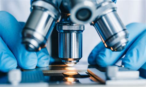 Feb 22, 2019 · a bone marrow biopsy is a medical test in which a doctor requests the collection and examination of a sample of bone marrow. What is the reliability of a biopsy taken during a ...