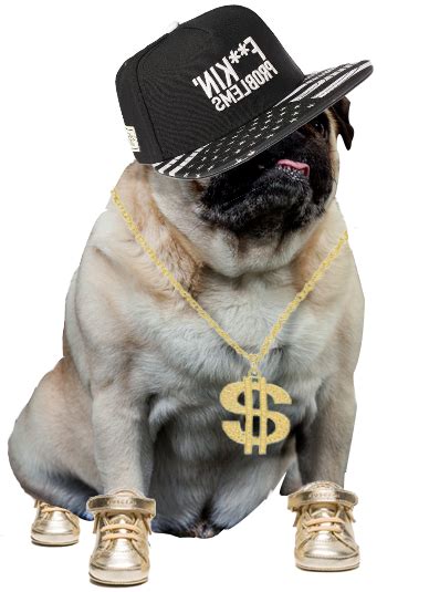 Transparent Pugs — Transparent Gangster Pug In Bling Bling