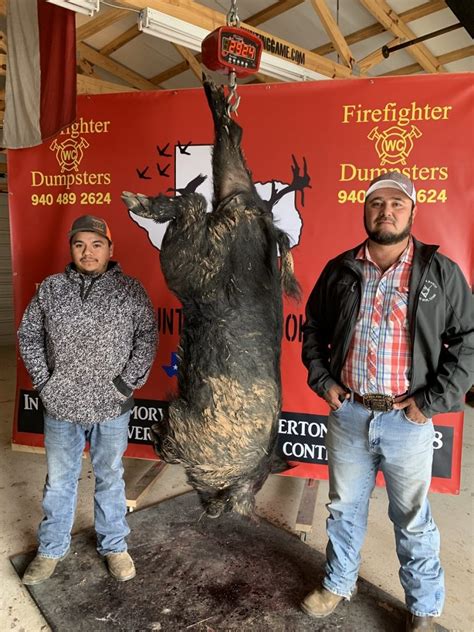 Personalized, affordable packages, specifically geared so our hunts won't break the bank! 2019 Wise County Hog Contest - Ranks 2/8/19 | The Hunting Game