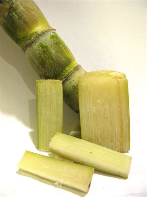 There are benefits to sugarcane despite the word sugar in sugarcane. 17 Best images about Sugar Cane on Pinterest | Mojito ...