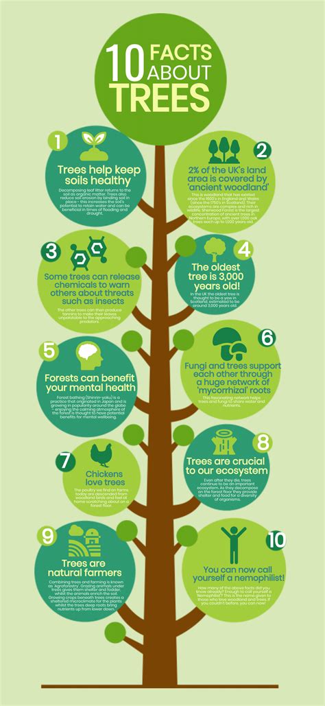Facts About Trees Infographic Simple Infographic Maker Tool By Easelly