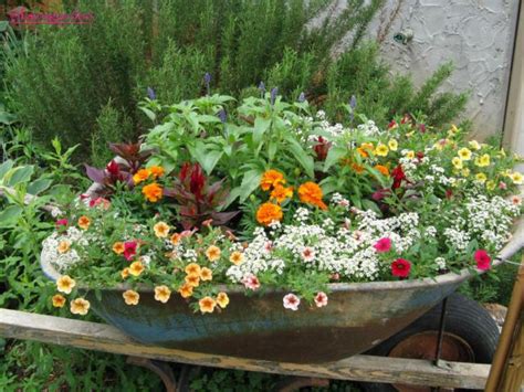 33 Wheelbarrow Ideas For Your Garden That Everyone Will Fall In Love With
